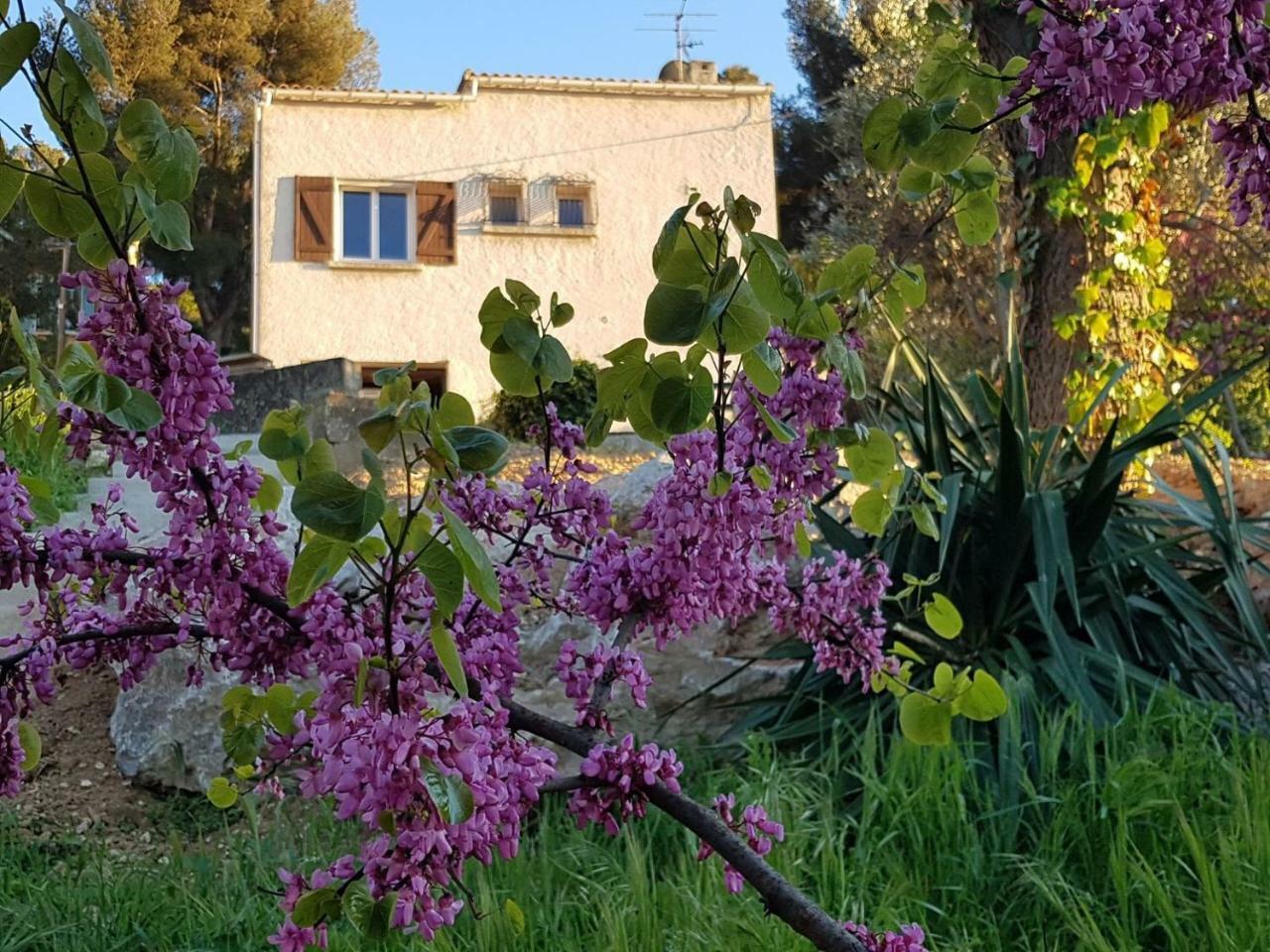 La Champanel Maison Vue *